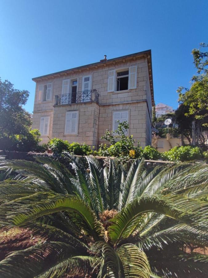 Villa Arancia 杜布罗夫尼克 外观 照片