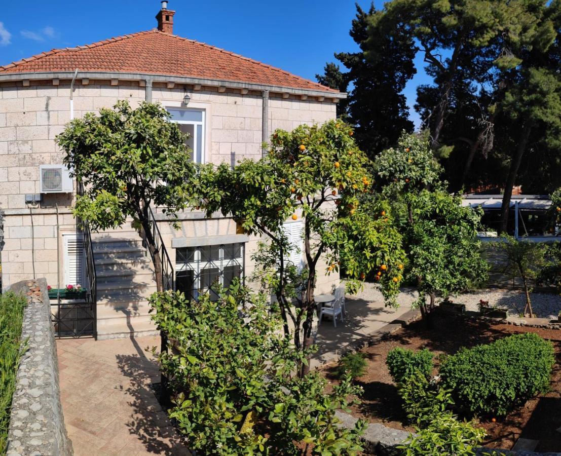 Villa Arancia 杜布罗夫尼克 外观 照片