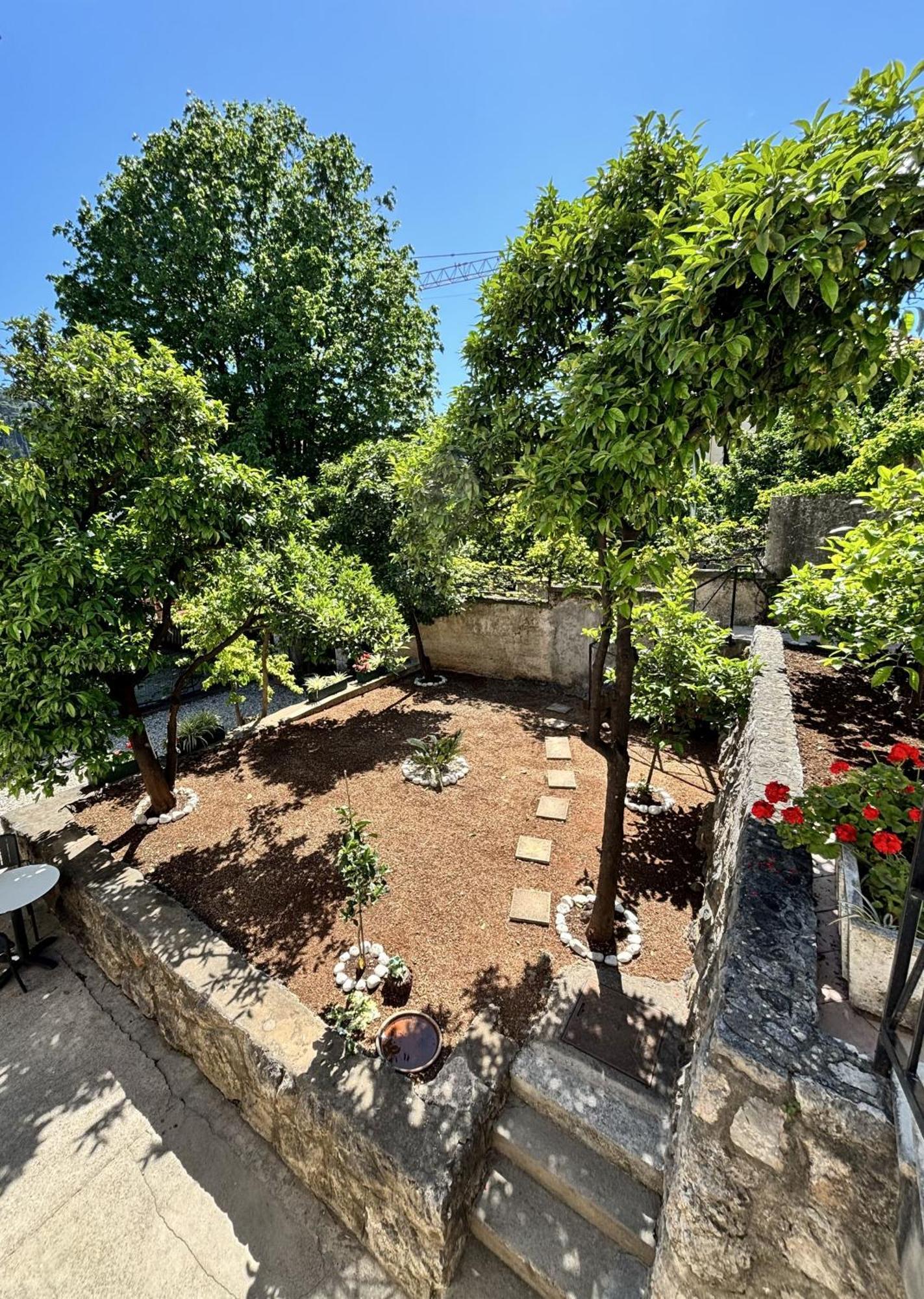 Villa Arancia 杜布罗夫尼克 外观 照片